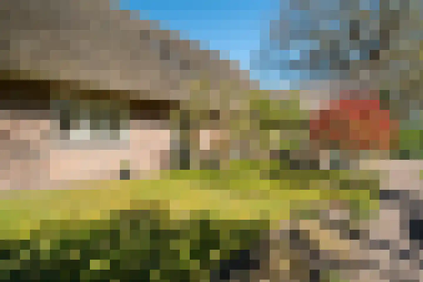 Schapedrift 2 Zeegse thumbnail 15