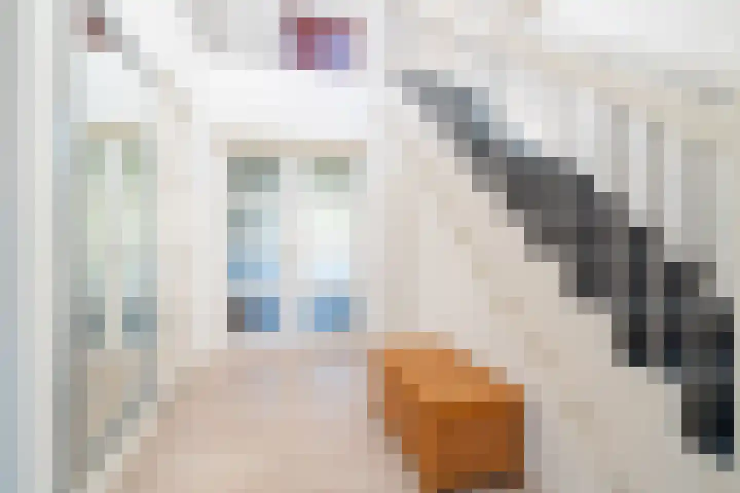 Schapedrift 2 Zeegse thumbnail 18