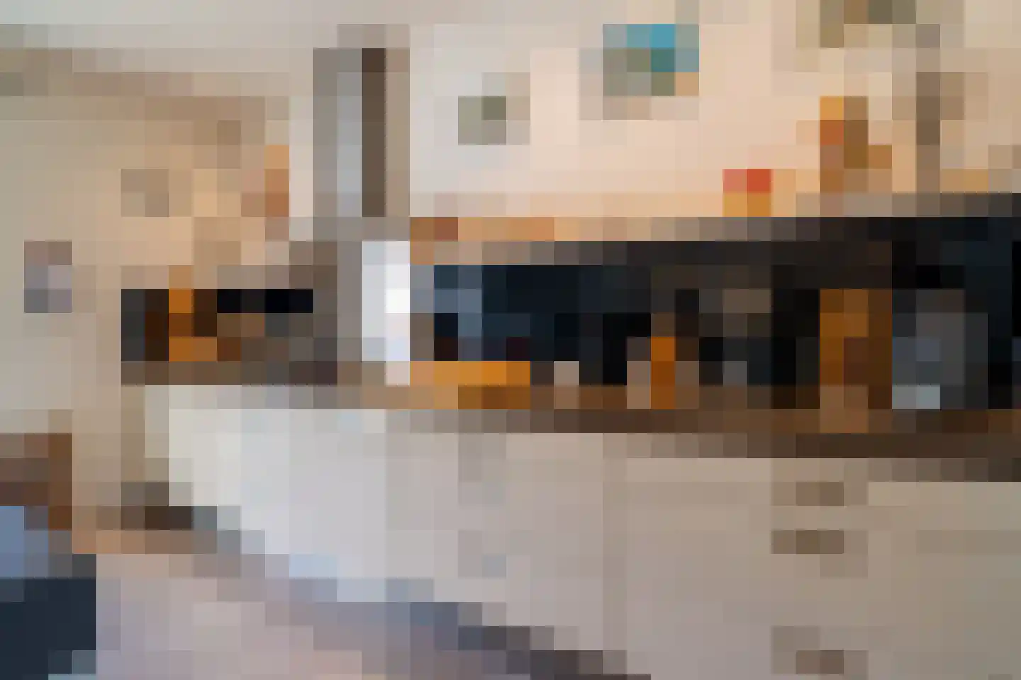 Schapedrift 2 Zeegse thumbnail 31