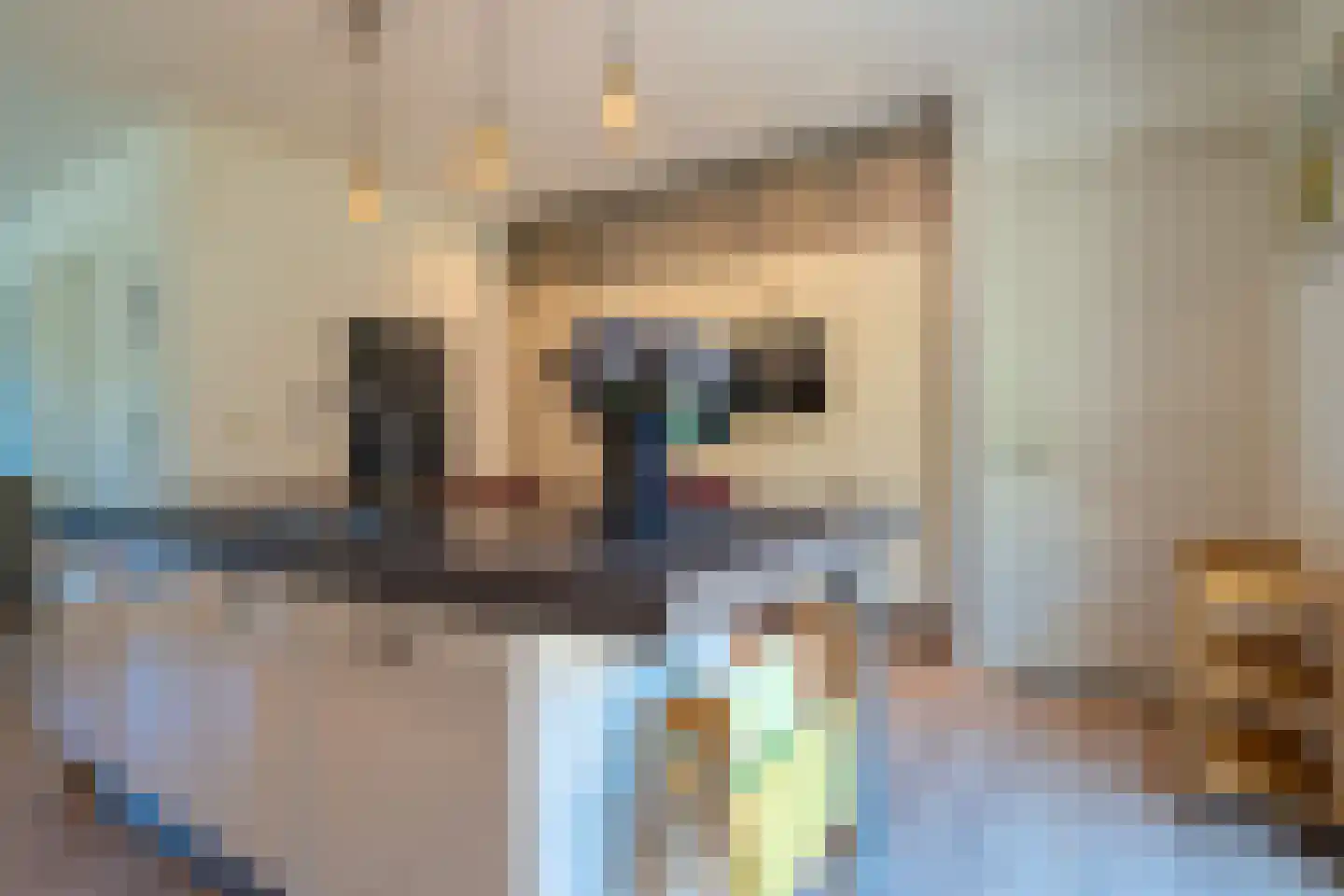 Schapedrift 2 Zeegse thumbnail 32