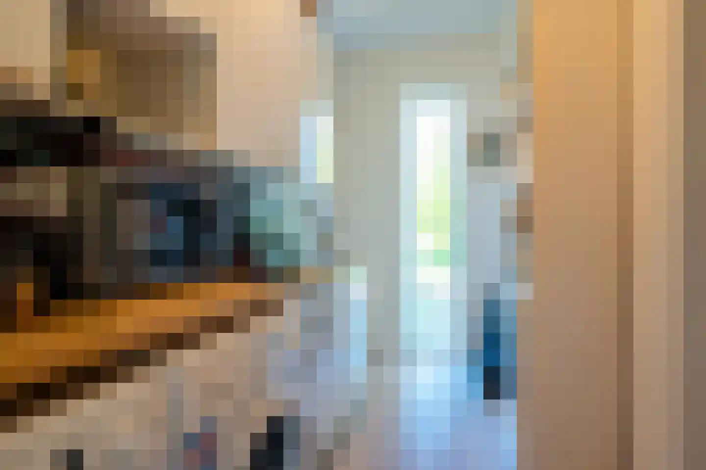 Schapedrift 2 Zeegse thumbnail 34