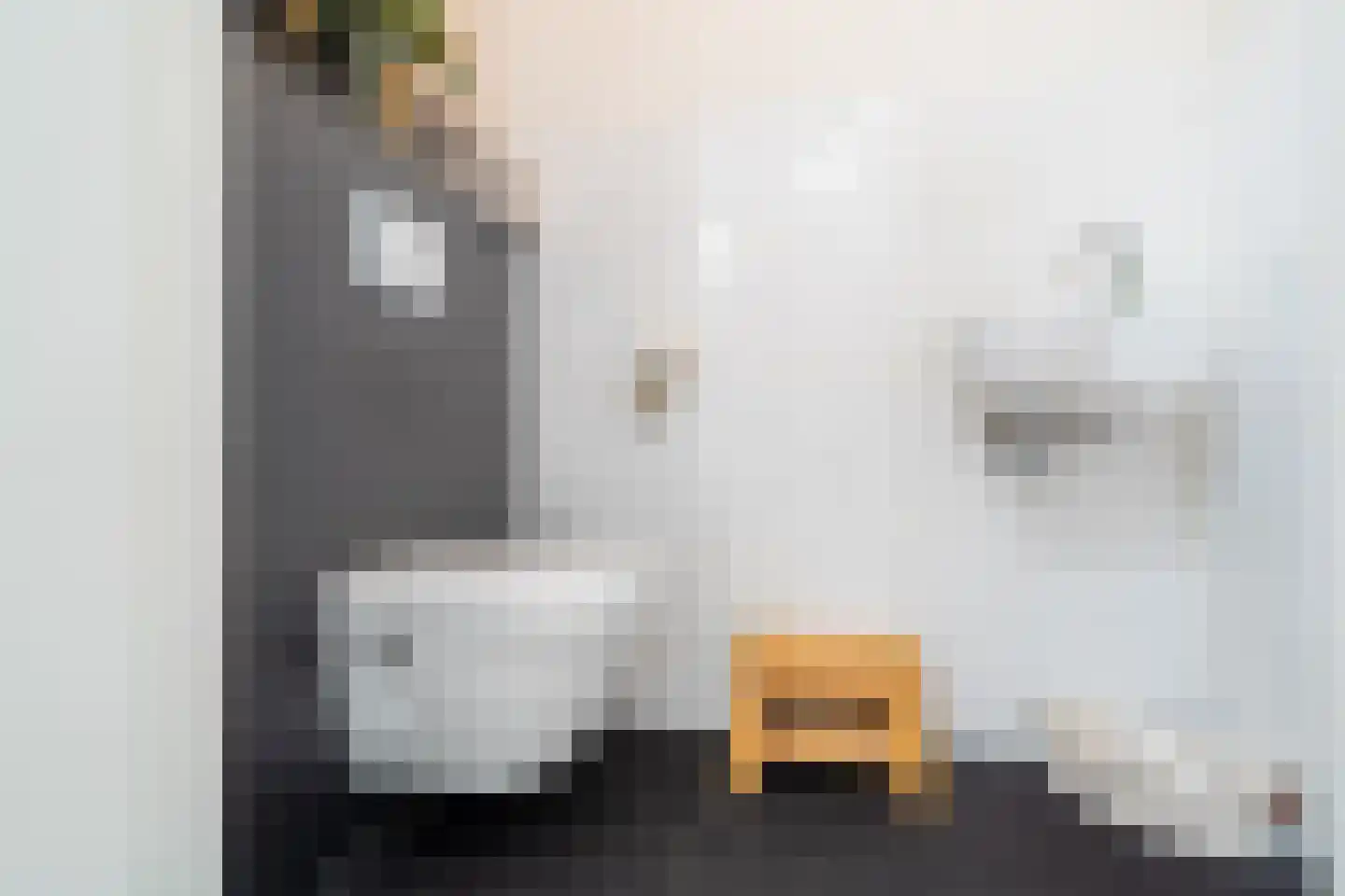Schapedrift 2 Zeegse thumbnail 41
