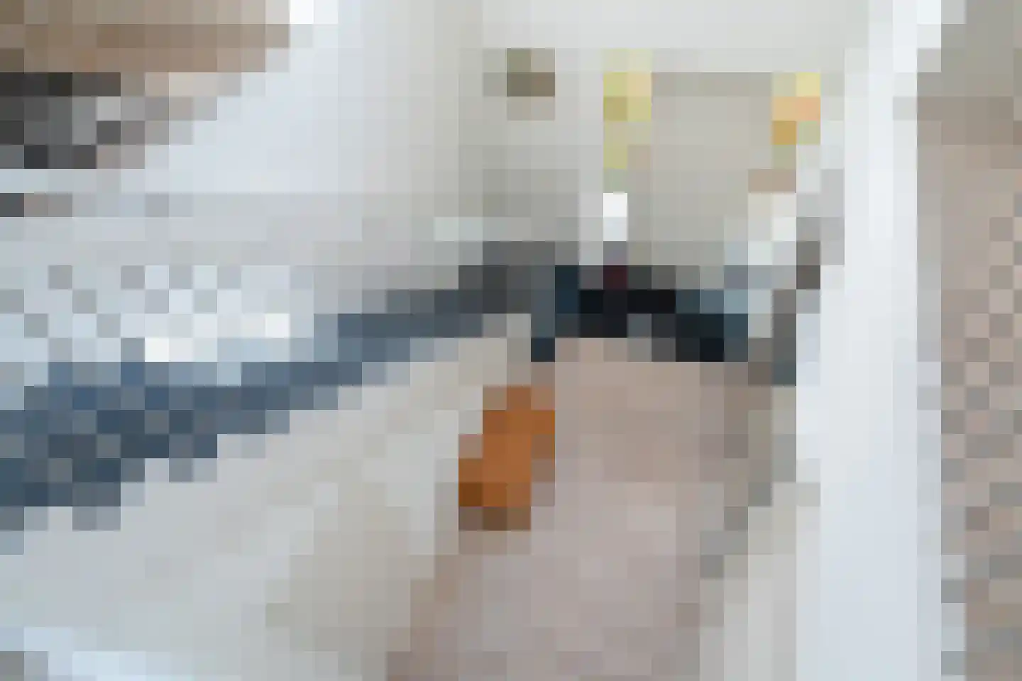 Schapedrift 2 Zeegse thumbnail 42