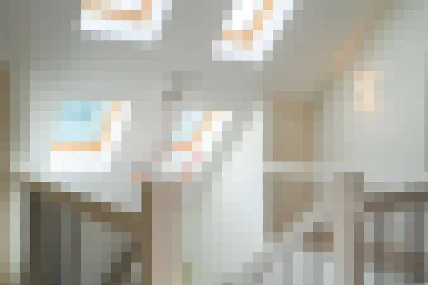 Schapedrift 2 Zeegse thumbnail 44
