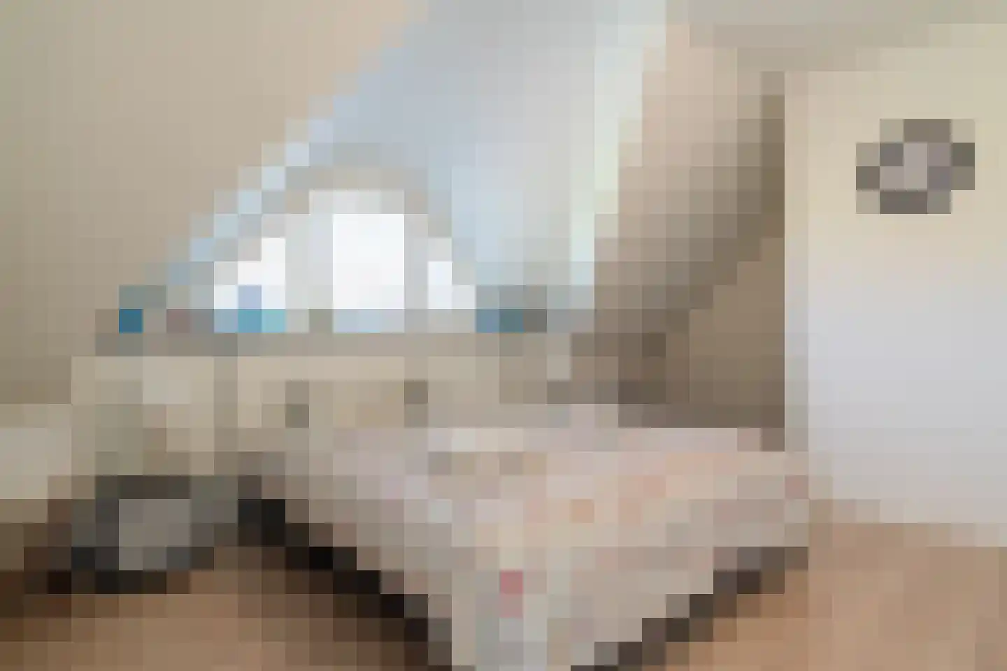 Schapedrift 2 Zeegse thumbnail 46