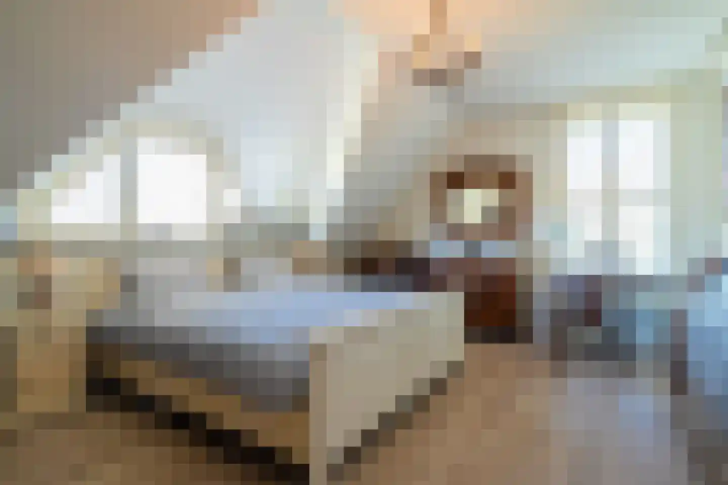 Schapedrift 2 Zeegse thumbnail 49