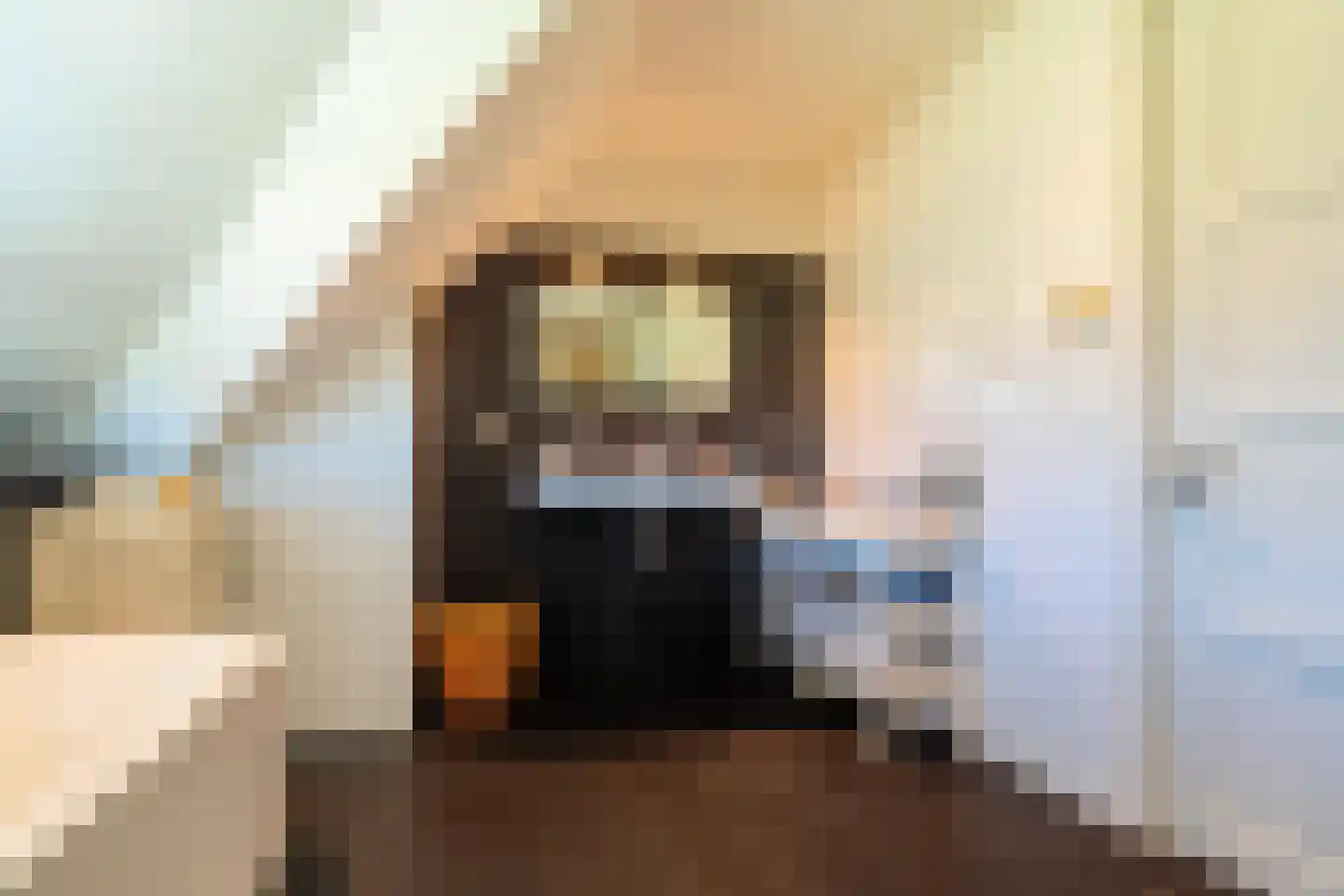 Schapedrift 2 Zeegse thumbnail 58