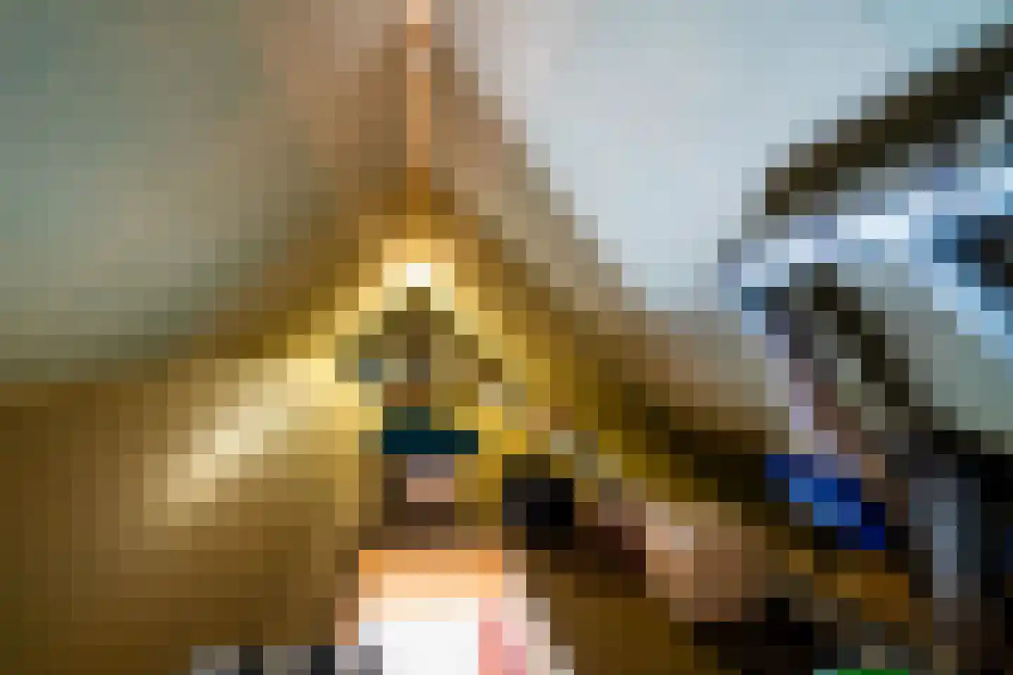Schapedrift 2 Zeegse thumbnail 61