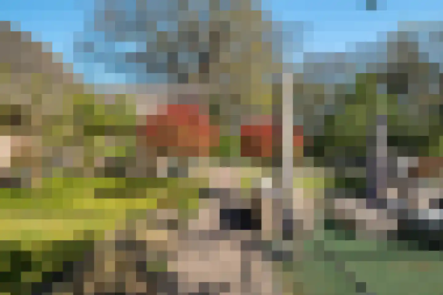 Schapedrift 2 Zeegse thumbnail 65