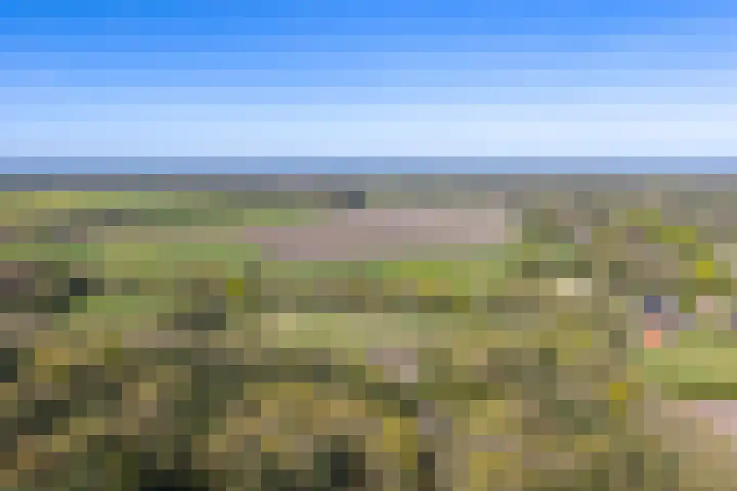 Schapedrift 2 Zeegse thumbnail 7