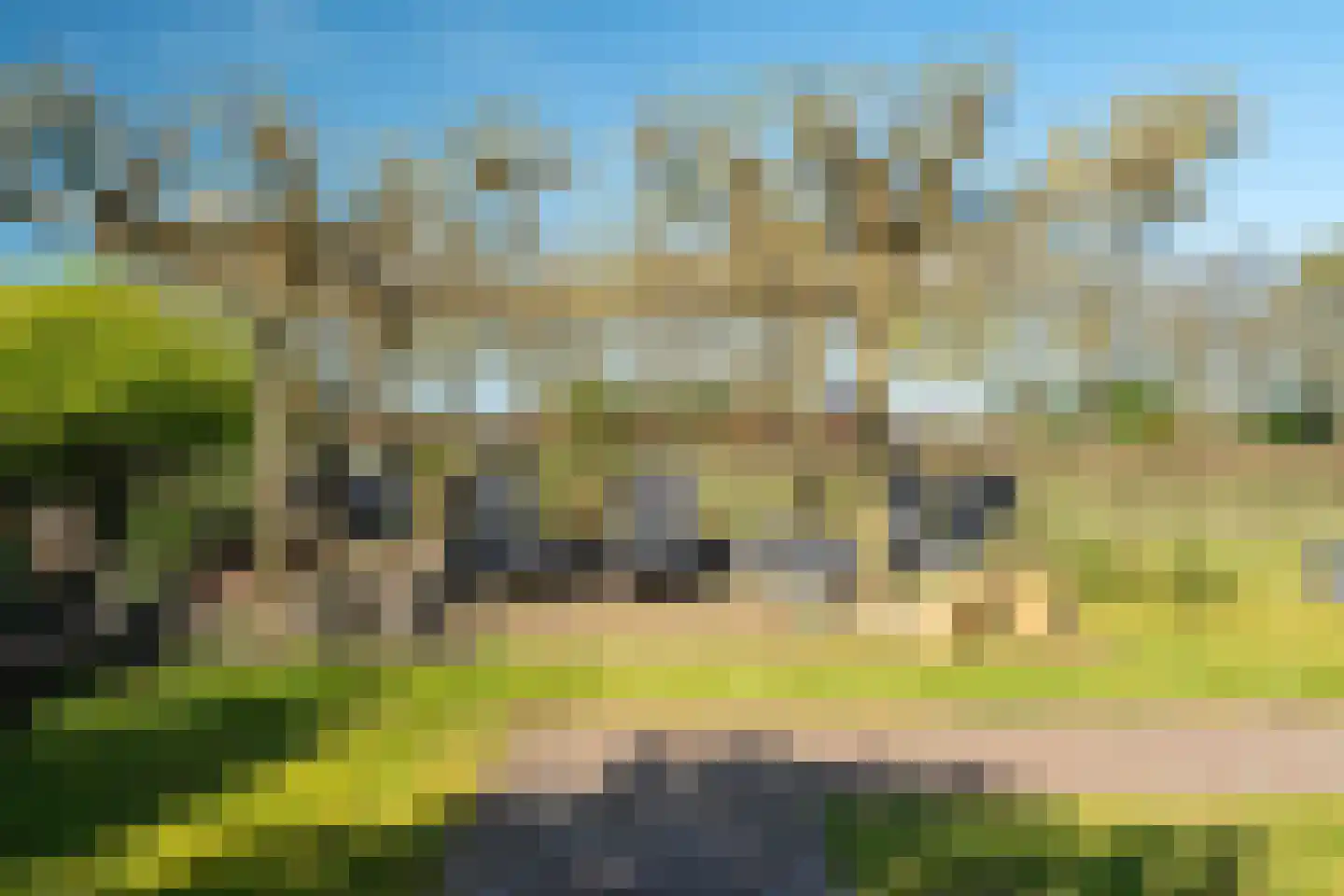 Schapedrift 2 Zeegse thumbnail 72
