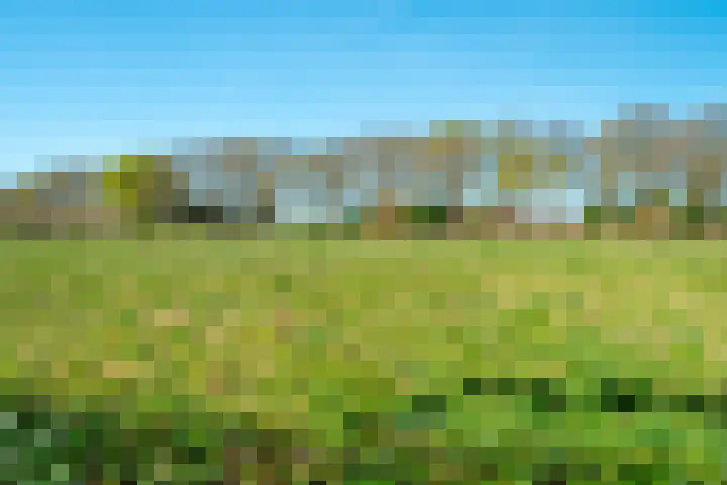 Schapedrift 2 Zeegse thumbnail 73
