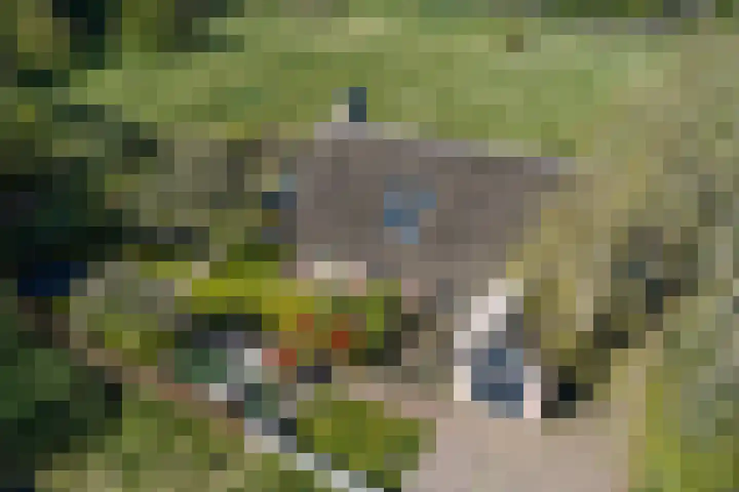 Schapedrift 2 Zeegse thumbnail 76