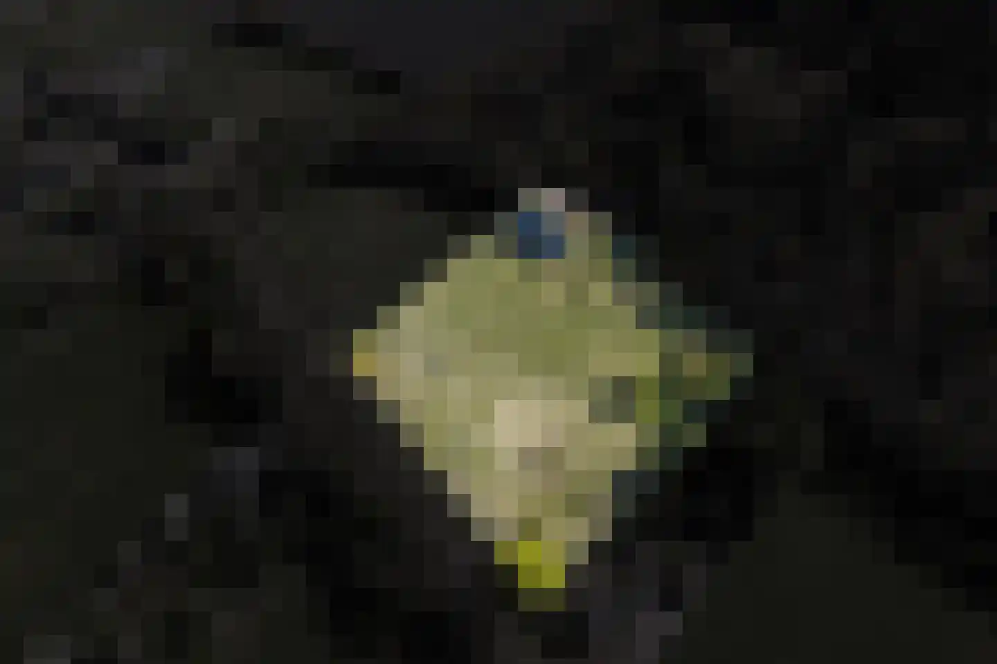 Schapedrift 2 Zeegse thumbnail 78