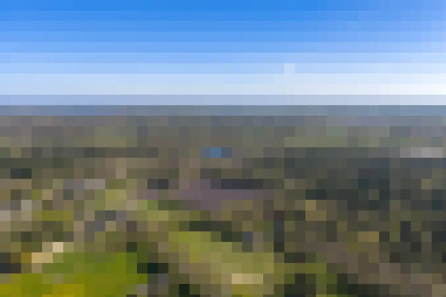 Schapedrift 2 Zeegse thumbnail 81