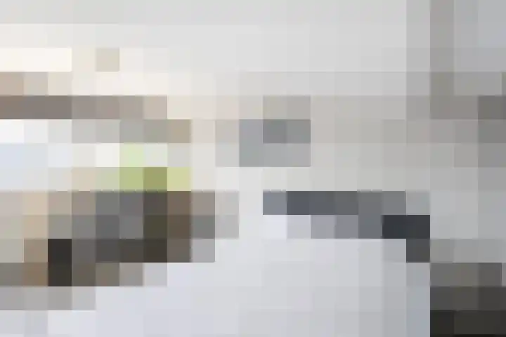 Schapedrift 62 Hardinxveld-Giessendam thumbnail 24