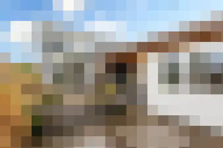 Schapedrift 62 Hardinxveld-Giessendam thumbnail 26