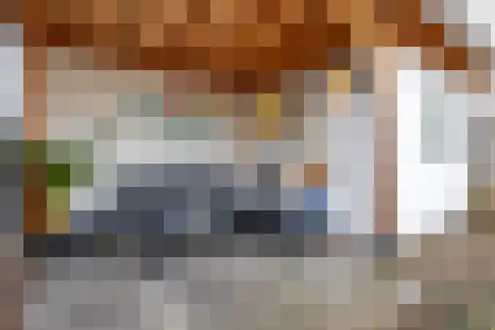 Schapedrift 62 Hardinxveld-Giessendam thumbnail 30