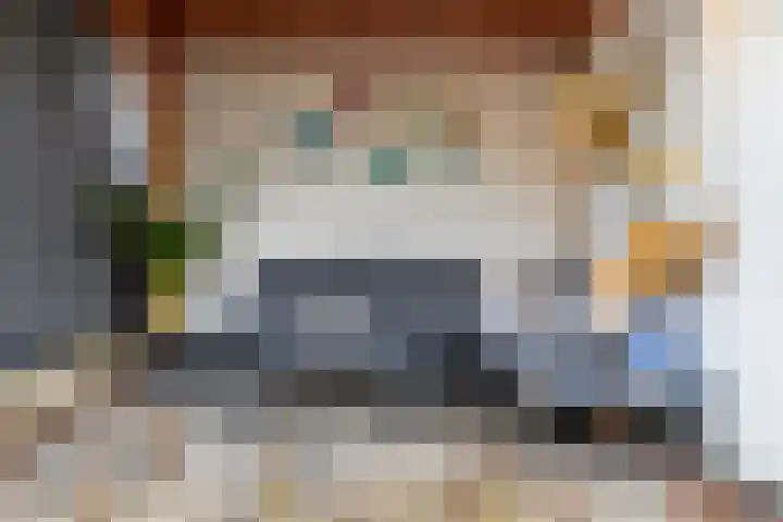 Schapedrift 62 Hardinxveld-Giessendam thumbnail 31