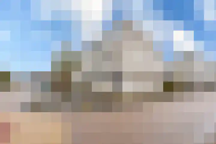 Schapedrift 62 Hardinxveld-Giessendam thumbnail 32