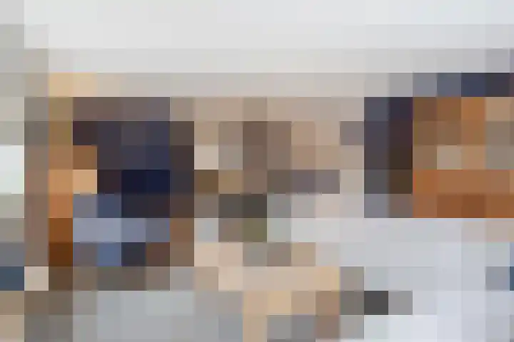 Schapedrift 62 Hardinxveld-Giessendam thumbnail 5