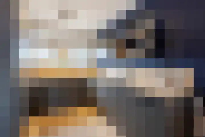 Schapedrift 62 Hardinxveld-Giessendam thumbnail 6
