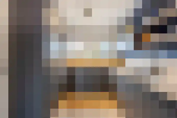 Schapedrift 62 Hardinxveld-Giessendam thumbnail 7