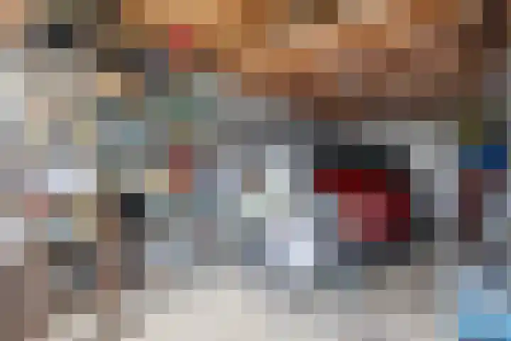Schapedrift 67 Hardinxveld-Giessendam thumbnail 14