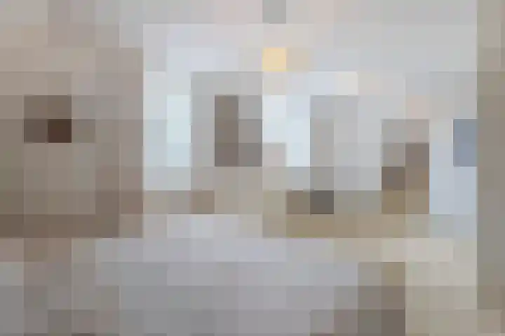 Schapedrift 67 Hardinxveld-Giessendam thumbnail 17