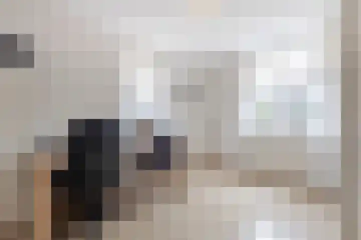 Schapedrift 67 Hardinxveld-Giessendam thumbnail 21