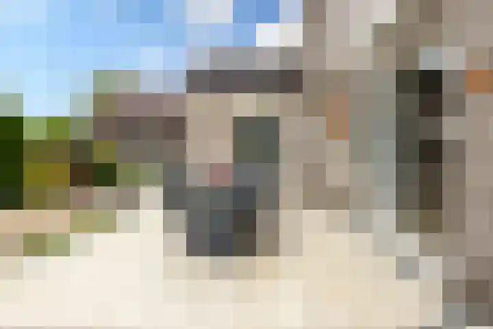 Schapedrift 67 Hardinxveld-Giessendam thumbnail 25