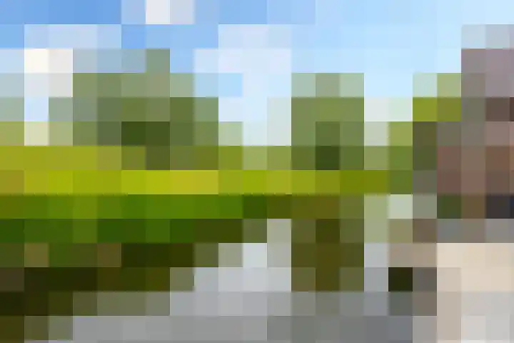 Schapedrift 67 Hardinxveld-Giessendam thumbnail 27
