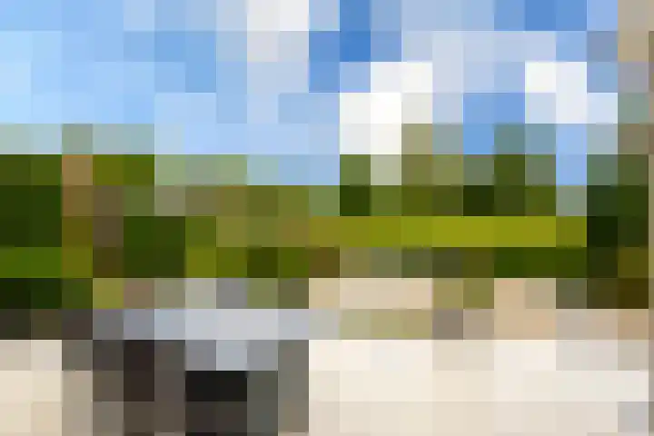 Schapedrift 67 Hardinxveld-Giessendam thumbnail 28