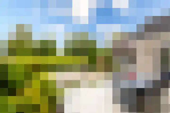 Schapedrift 67 Hardinxveld-Giessendam thumbnail 29