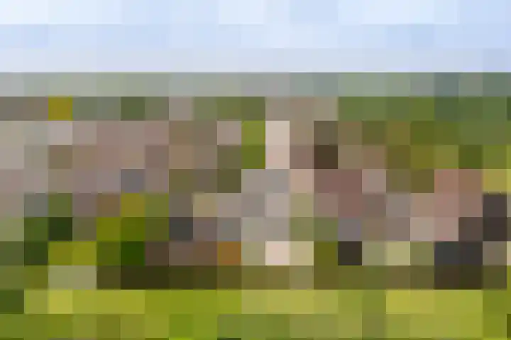 Schapedrift 67 Hardinxveld-Giessendam thumbnail 31