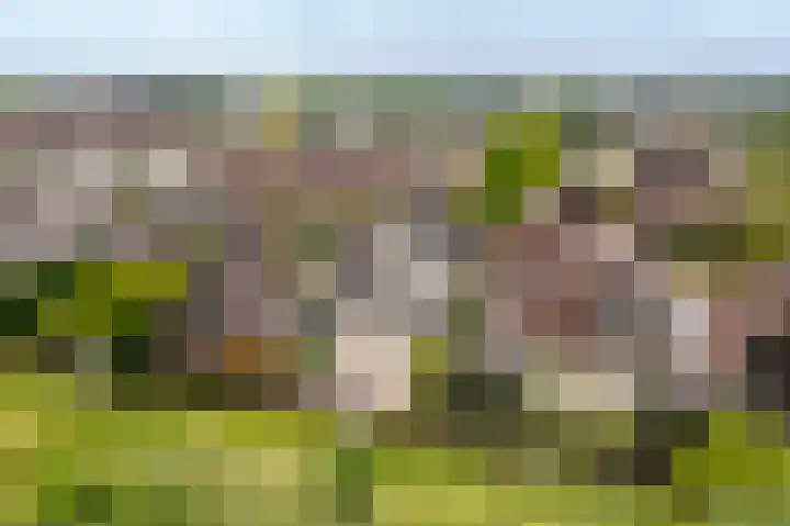 Schapedrift 67 Hardinxveld-Giessendam thumbnail 32