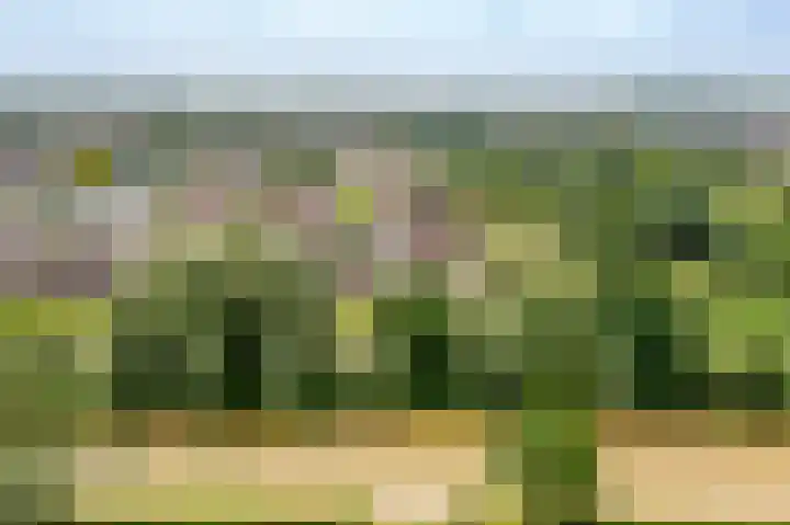 Schapedrift 67 Hardinxveld-Giessendam thumbnail 33