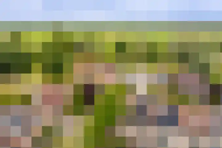 Schapedrift 67 Hardinxveld-Giessendam thumbnail 34