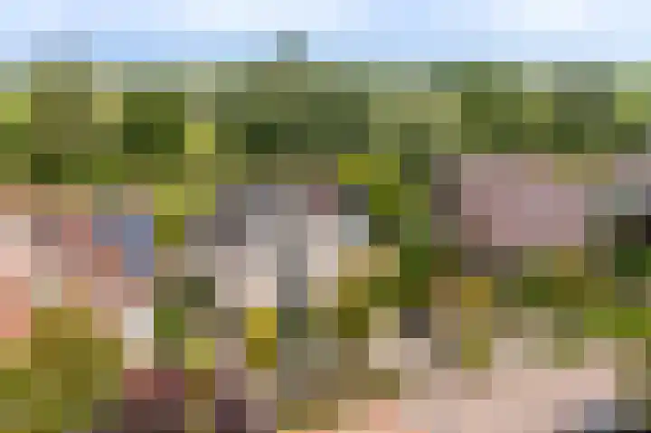 Schapedrift 67 Hardinxveld-Giessendam thumbnail 35