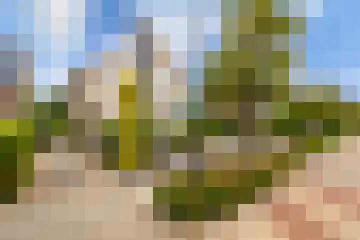 Schapedrift 67 Hardinxveld-Giessendam thumbnail 36