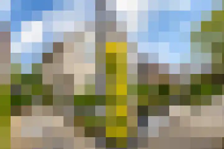 Schapedrift 67 Hardinxveld-Giessendam thumbnail 37