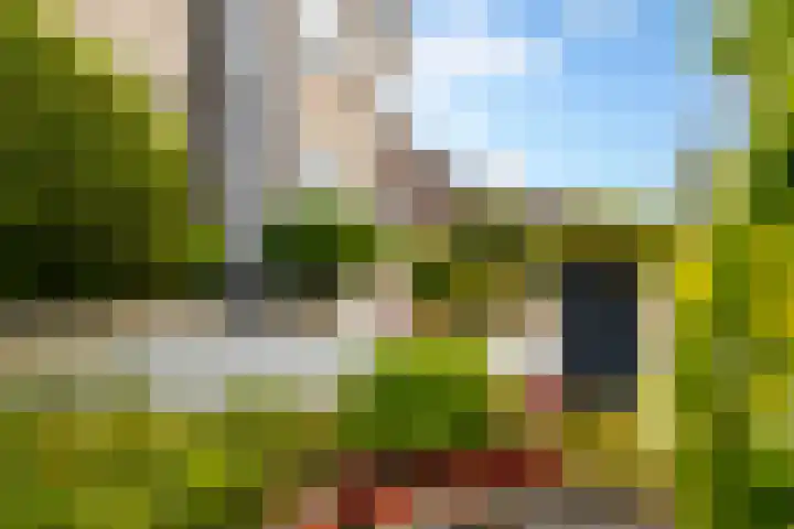 Schapedrift 67 Hardinxveld-Giessendam thumbnail 38