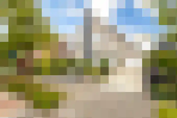 Schapedrift 67 Hardinxveld-Giessendam thumbnail 41