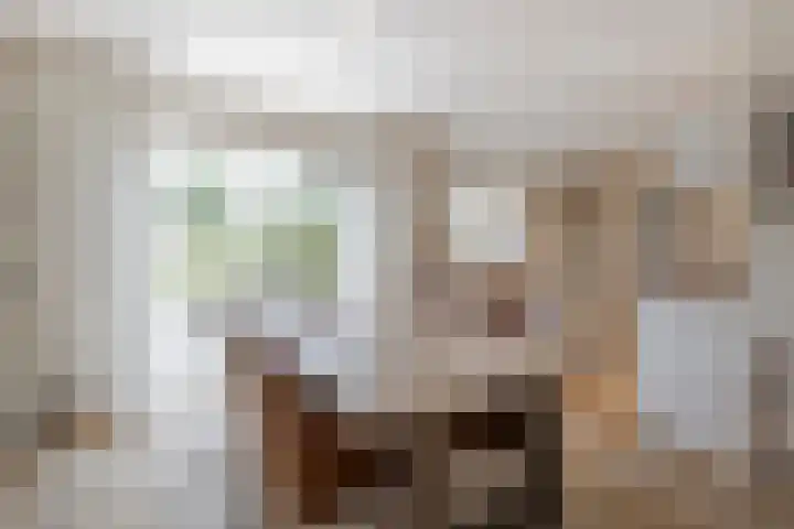 Schapedrift 67 Hardinxveld-Giessendam thumbnail 8
