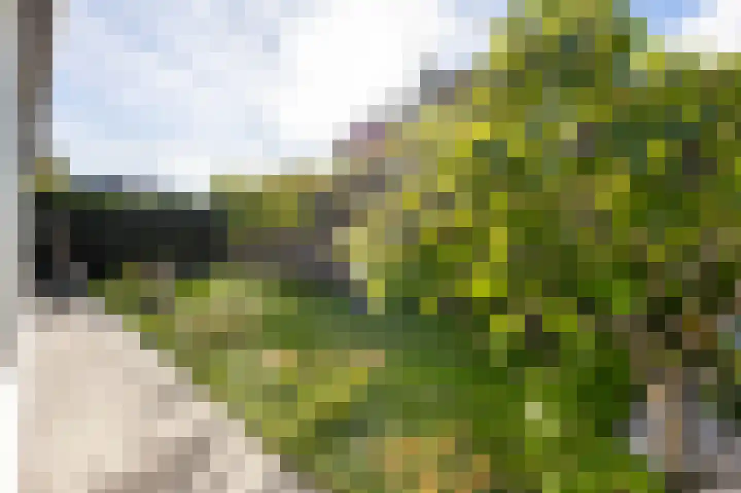 Schapedrift 7 Hardinxveld-Giessendam thumbnail 43