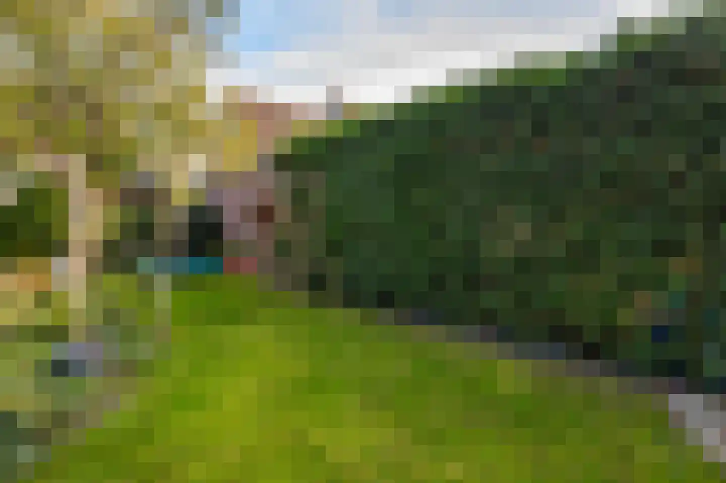 Schapedrift 7 Hardinxveld-Giessendam thumbnail 50