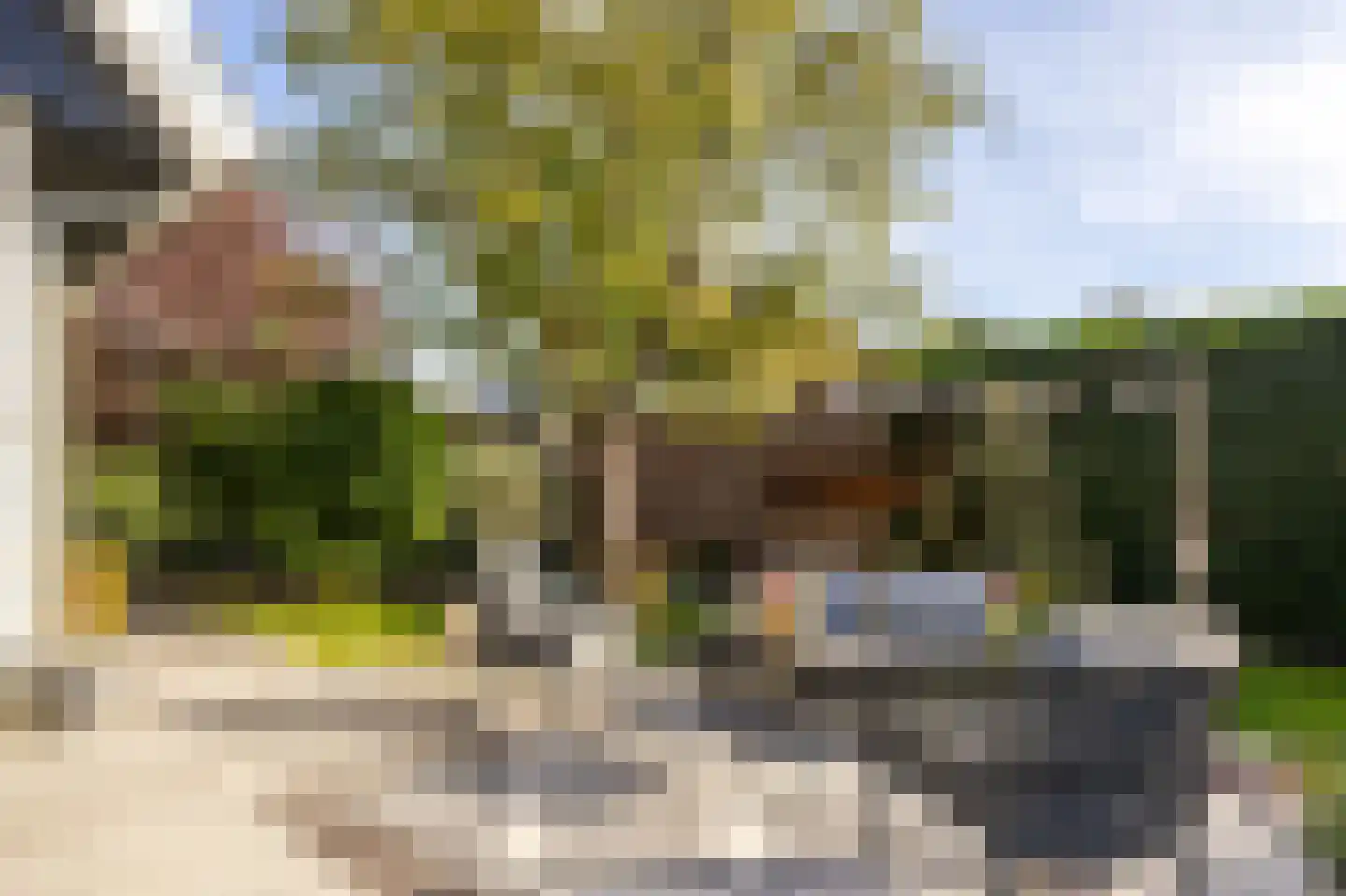 Schapedrift 7 Hardinxveld-Giessendam thumbnail 51