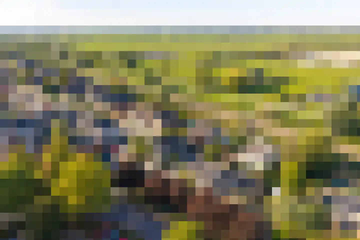 Schapedrift 7 Hardinxveld-Giessendam thumbnail 61