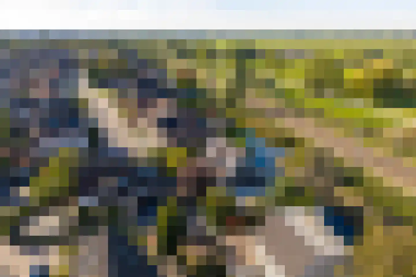 Schapedrift 7 Hardinxveld-Giessendam thumbnail 62