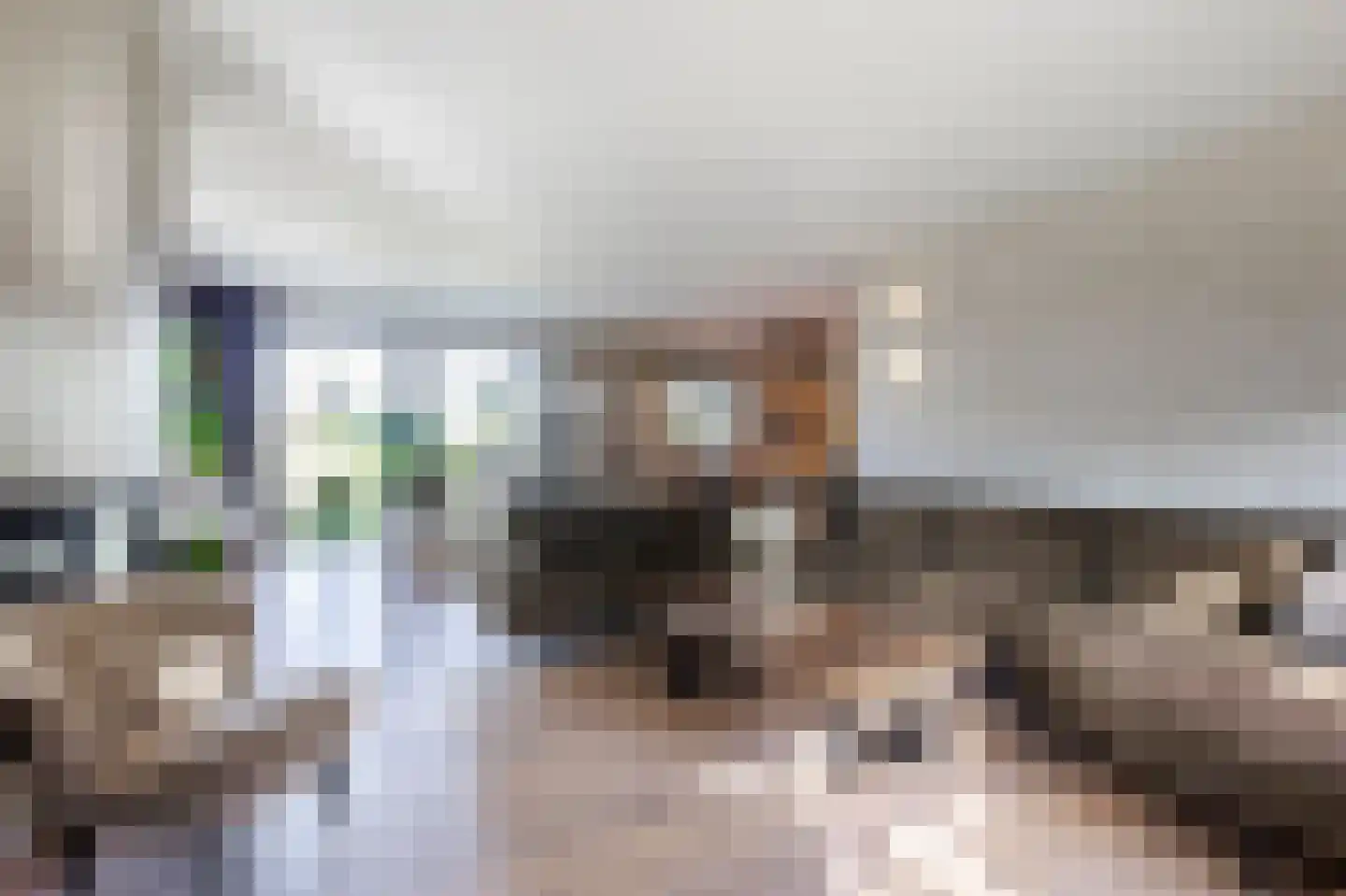 Schapedrift 7 Hardinxveld-Giessendam thumbnail 7